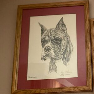 Framed Boxer Dog Sketch Art